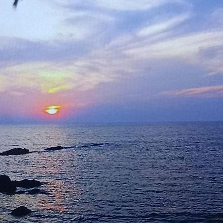 Om Ganesh Naik Guest House Arambol Εξωτερικό φωτογραφία
